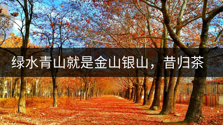 綠水青山就是金山銀山，昔歸茶農(nóng)唱著“茶歌”奔小康