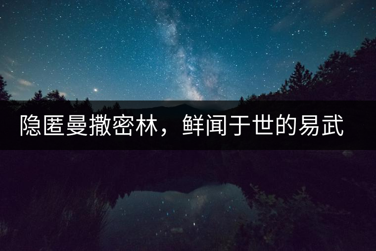 隱匿曼撒密林，鮮聞?dòng)谑赖囊孜湟簧饶ス艠?shù)茶