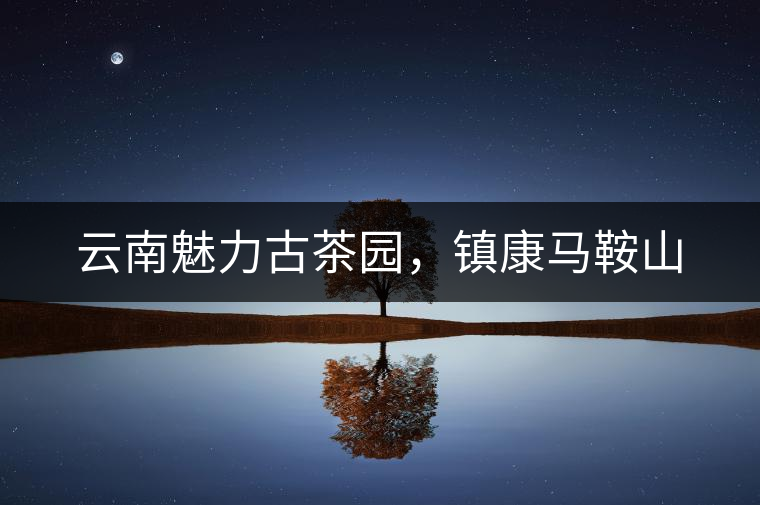 云南魅力古茶園，鎮(zhèn)康馬鞍山