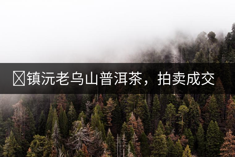 ?鎮(zhèn)沅老烏山普洱茶，拍賣成交價(jià)再創(chuàng)新高