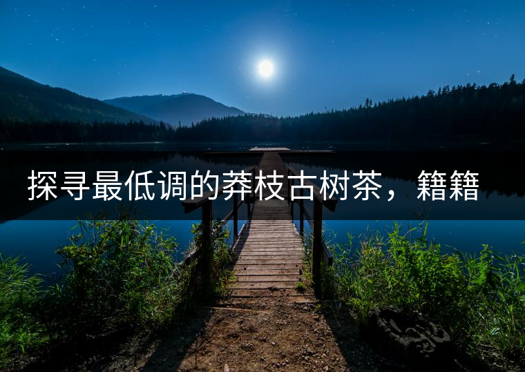 探尋最低調(diào)的莽枝古樹茶，籍籍無(wú)名出好茶