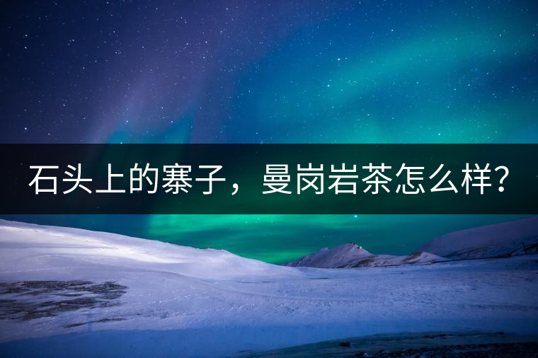 石頭上的寨子，曼崗巖茶怎么樣？