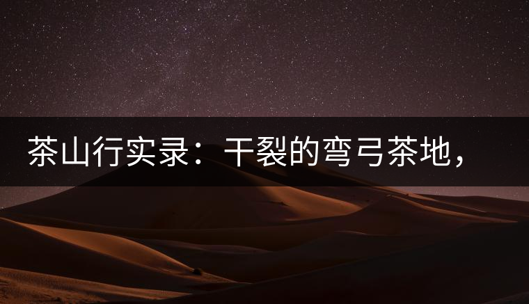 茶山行實(shí)錄：干裂的彎弓茶地，干旱減產(chǎn)已成定局