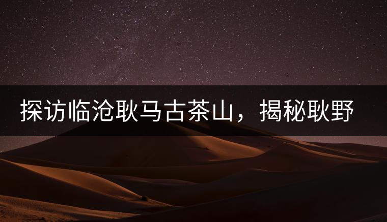 探訪臨滄耿馬古茶山，揭秘耿野生古茶樹(shù)群落