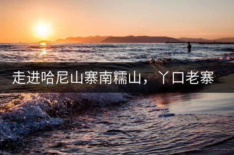 走進(jìn)哈尼山寨南糯山，丫口老寨普洱茶特點(diǎn)