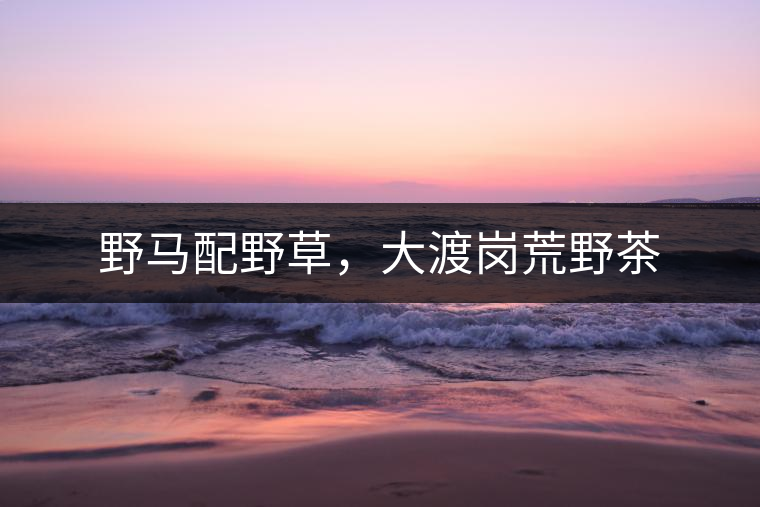 野馬配野草，大渡崗荒野茶