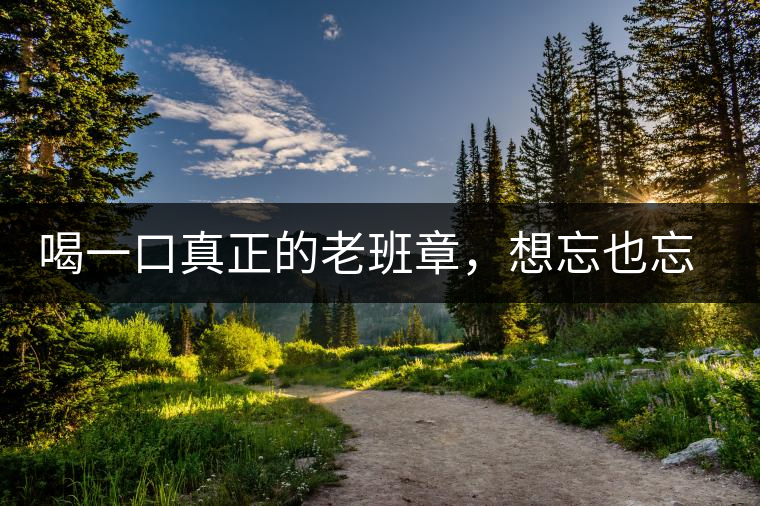 喝一口真正的老班章，想忘也忘不了的味道