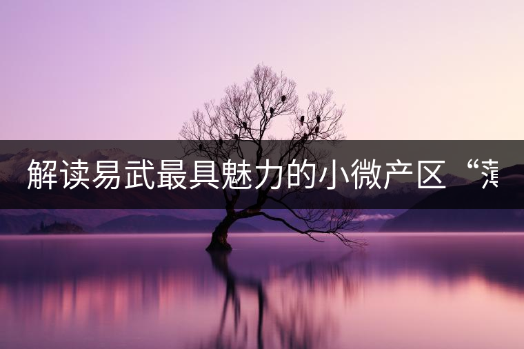 解讀易武最具魅力的小微產(chǎn)區(qū)“薄荷塘”