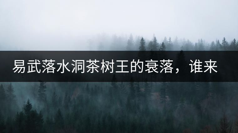 易武落水洞茶樹王的衰落，誰來關(guān)注古樹茶？