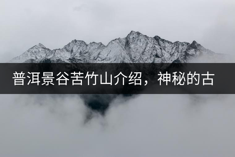 普洱景谷苦竹山介紹，神秘的古樹普洱茶原產(chǎn)地