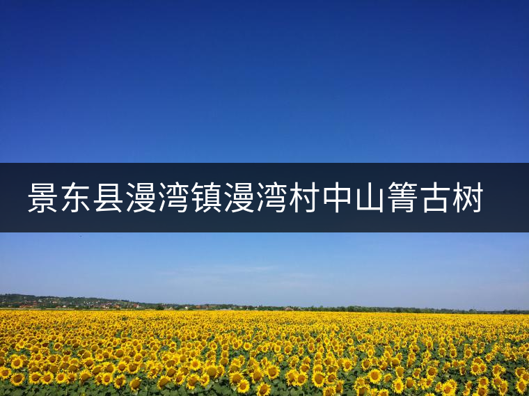 景東縣漫灣鎮(zhèn)漫灣村中山箐古樹茶特點(diǎn)介紹