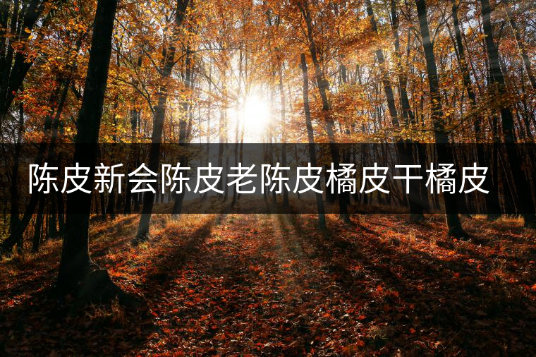 陳皮新會(huì)陳皮老陳皮橘皮干橘皮薏米茶非特級罐裝可配普洱白茶黃芪 陳皮新會(huì)陳皮老陳皮橘皮干橘皮薏米茶非特級罐裝可配普洱白茶黃芪