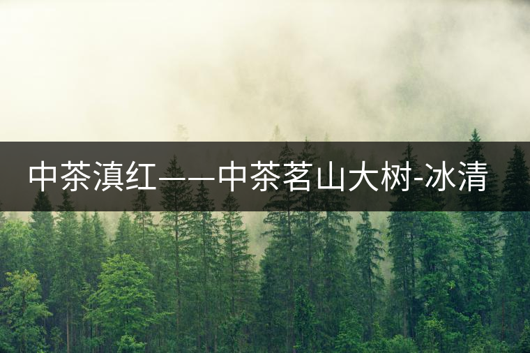 中茶滇紅——中茶茗山大樹-冰清紅袖②號