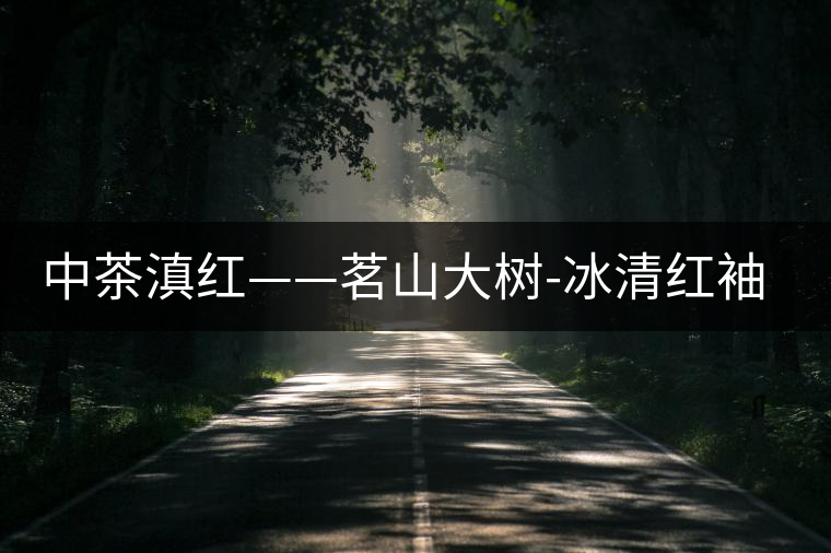 中茶滇紅——茗山大樹(shù)-冰清紅袖1號(hào) 中茶滇紅——茗山大樹(shù)-冰清紅袖1號(hào)