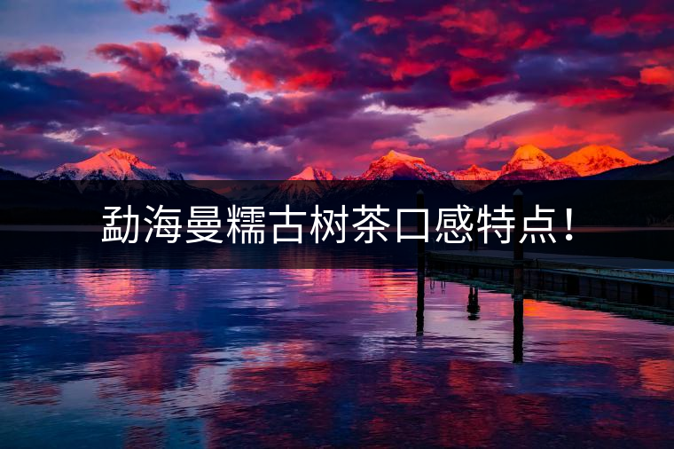 勐海曼糯古樹茶口感特點(diǎn)！