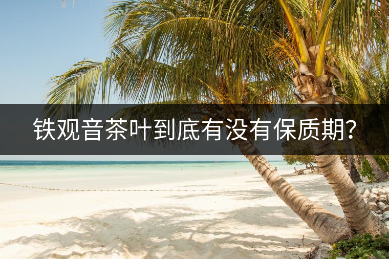 鐵觀音茶葉到底有沒有保質(zhì)期？