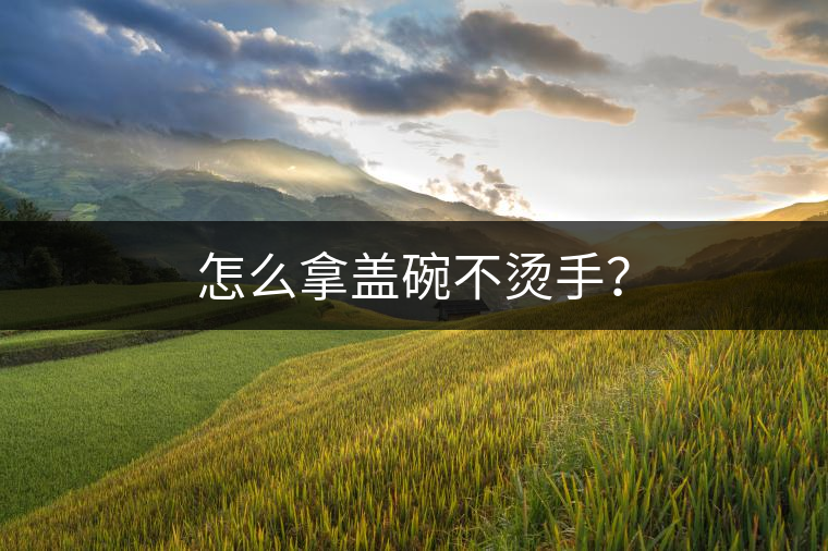 怎么拿蓋碗不燙手？