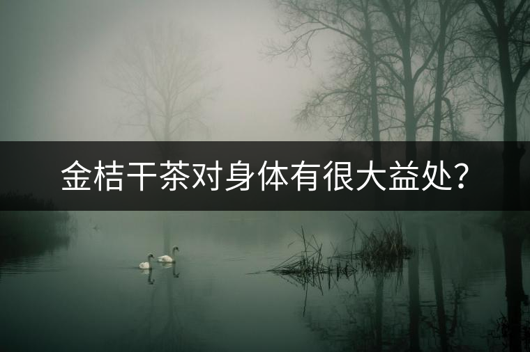 金桔干茶對身體有很大益處？