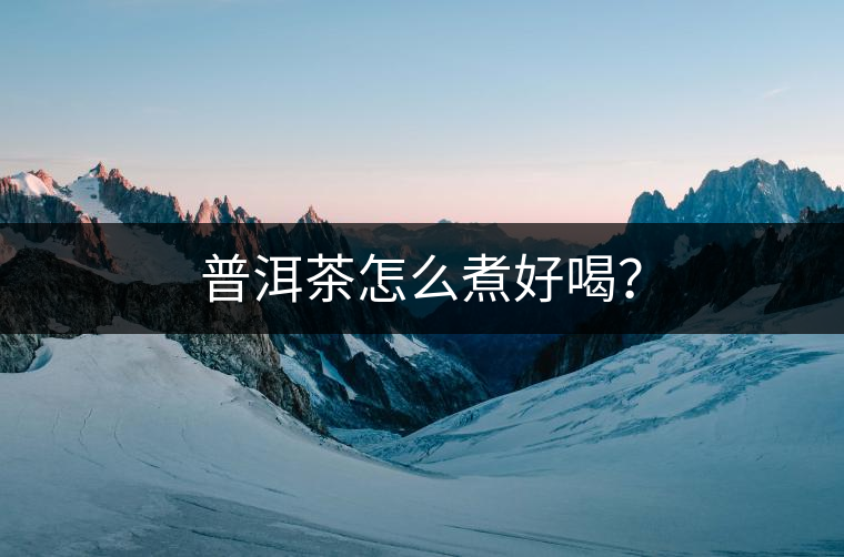 普洱茶怎么煮好喝？