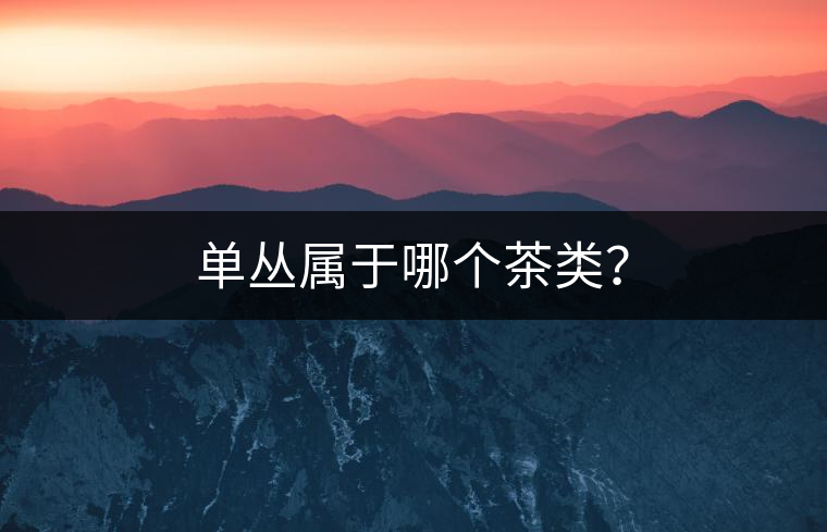 單叢屬于哪個茶類？