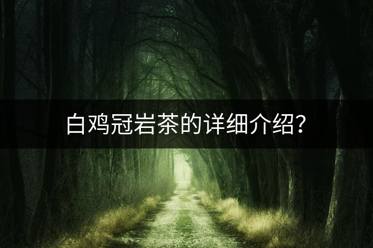 白雞冠巖茶的詳細介紹？