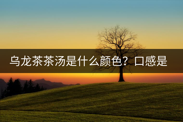 烏龍茶茶湯是什么顏色？口感是什么？