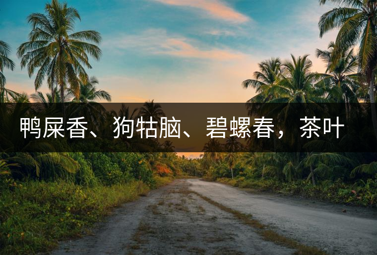 鴨屎香、狗牯腦、碧螺春，茶葉到底是如何被命名的