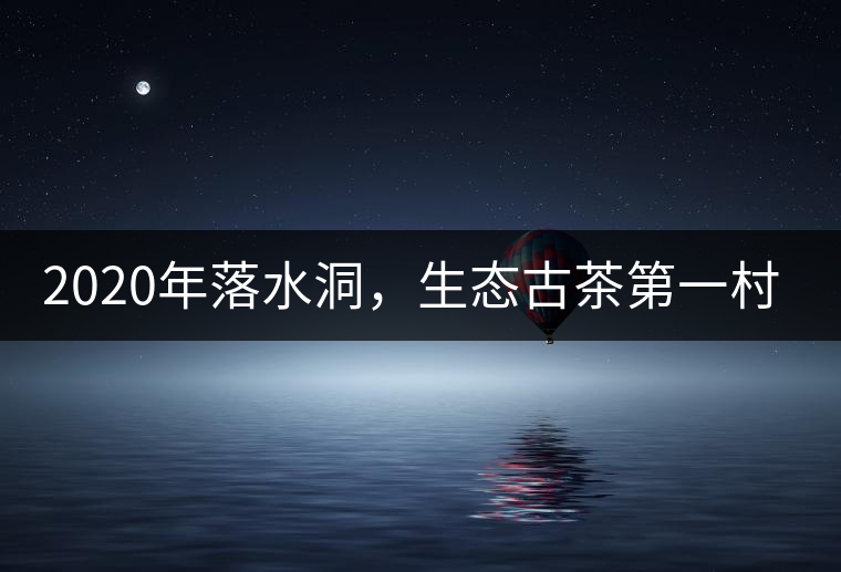 2020年落水洞，生態(tài)古茶第一村-易武中聘號(hào)