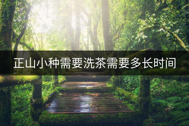 正山小種需要洗茶需要多長(zhǎng)時(shí)間