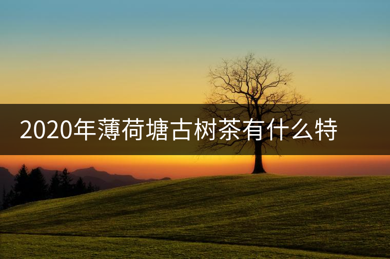 2020年薄荷塘古樹茶有什么特征？薄荷塘的價格及產(chǎn)量如何？-易武中聘號