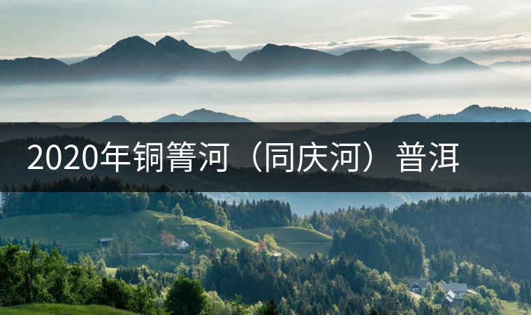 2020年銅箐河（同慶河）普洱茶，野味真難尋！-易武中聘號