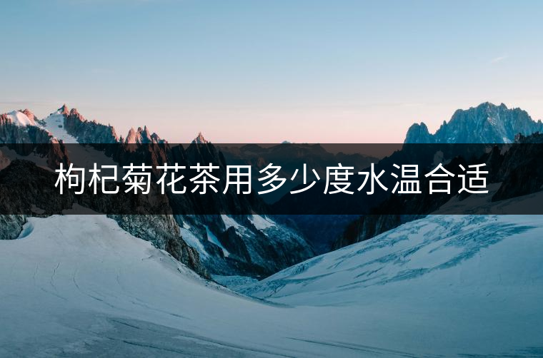 枸杞菊花茶用多少度水溫合適