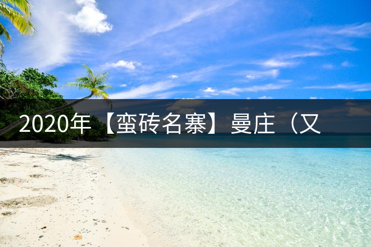 2020年【蠻磚名寨】曼莊（又作：蠻磚、曼磚）-易武中聘號
