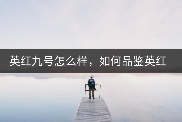 英紅九號怎么樣，如何品鑒英紅九號紅茶