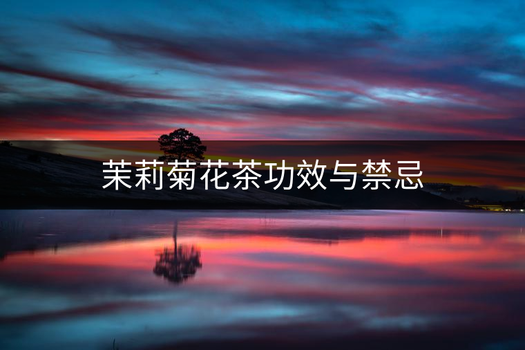 茉莉菊花茶功效與禁忌