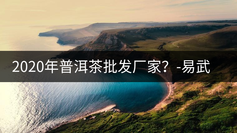 2020年普洱茶批發(fā)廠家？-易武中聘號(hào)