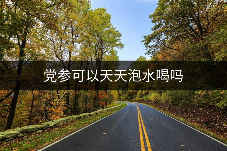 黨參可以天天泡水喝嗎