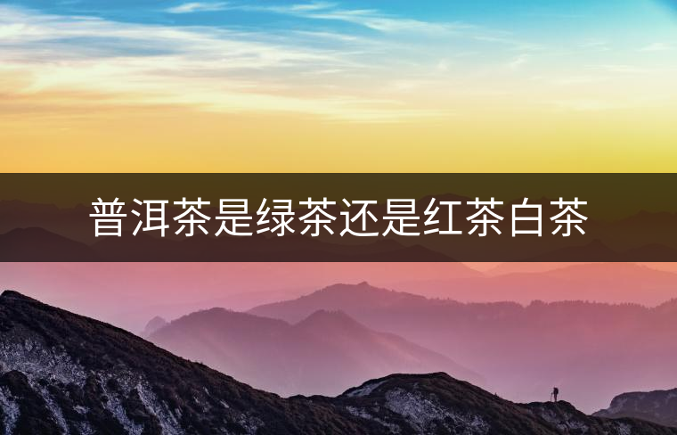 普洱茶是綠茶還是紅茶白茶