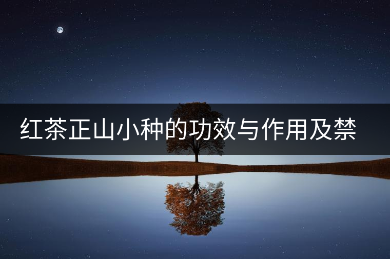 紅茶正山小種的功效與作用及禁忌