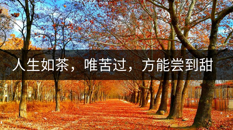 人生如茶，唯苦過，方能嘗到甜滋味