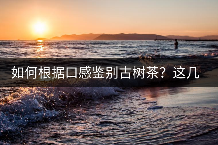 如何根據(jù)口感鑒別古樹茶？這幾個技巧值得收藏