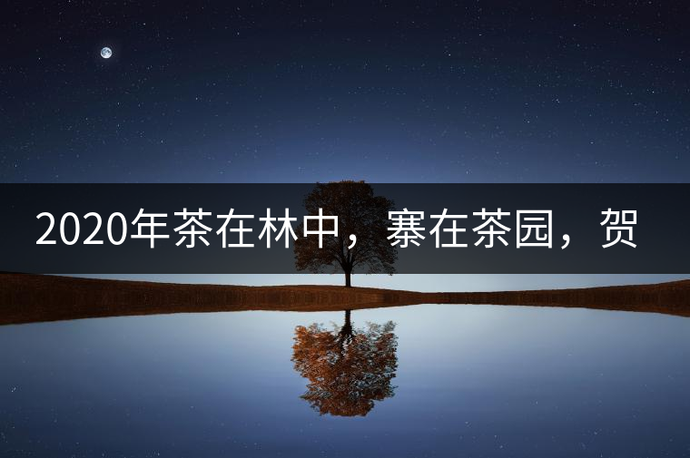 2020年茶在林中，寨在茶園，賀開古樹茶-易武中聘號
