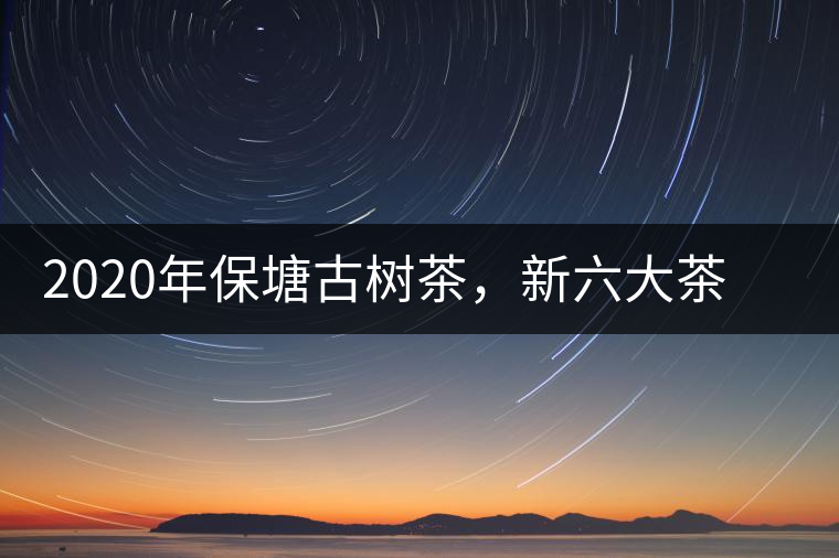 2020年保塘古樹茶，新六大茶山之勐宋茶佼佼者-易武中聘號(hào)