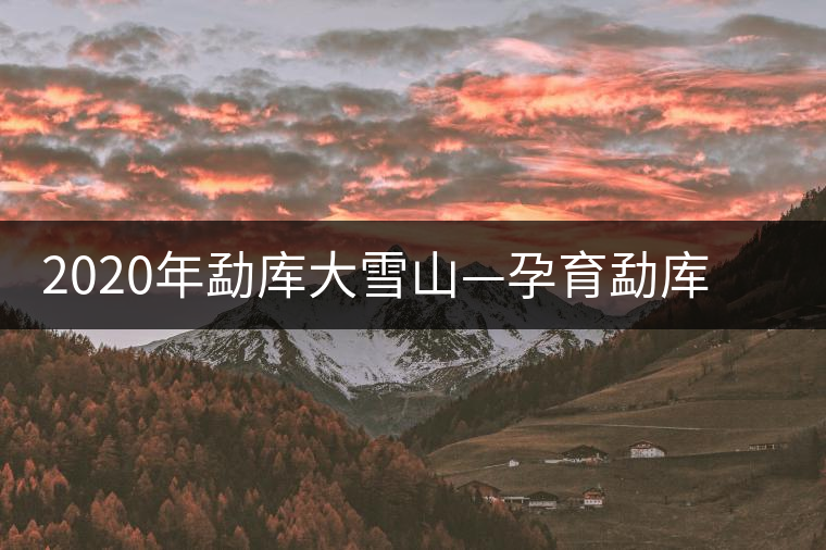 2020年勐庫大雪山—孕育勐庫大葉種英豪的搖籃-易武中聘號