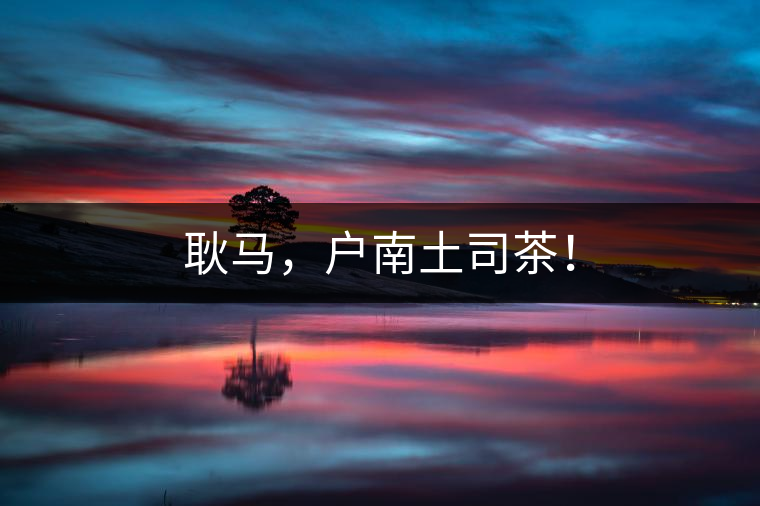 耿馬，戶南土司茶！