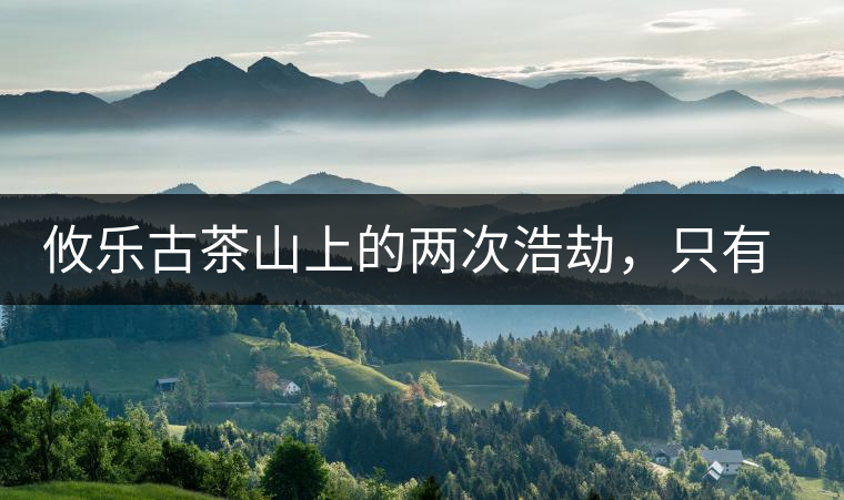 攸樂古茶山上的兩次浩劫，只有絕少部分的茶人解內(nèi)情