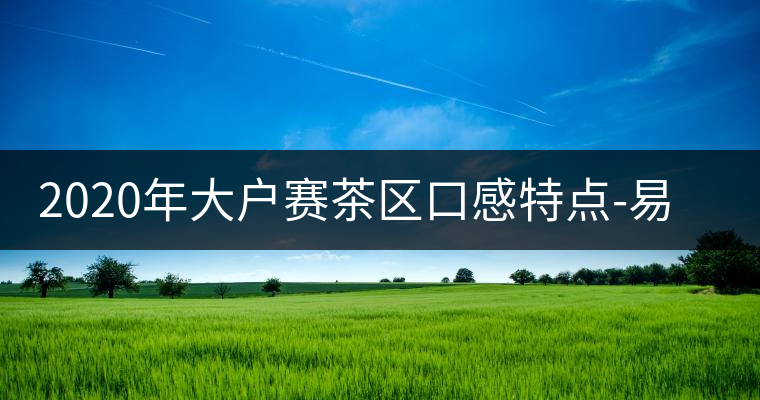 2020年大戶(hù)賽茶區(qū)口感特點(diǎn)-易武中聘號(hào)