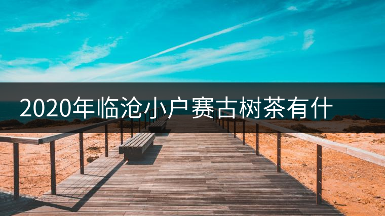 2020年臨滄小戶賽古樹茶有什么特點(diǎn)？因何被稱為“賽冰島”？-易武中聘號(hào)
