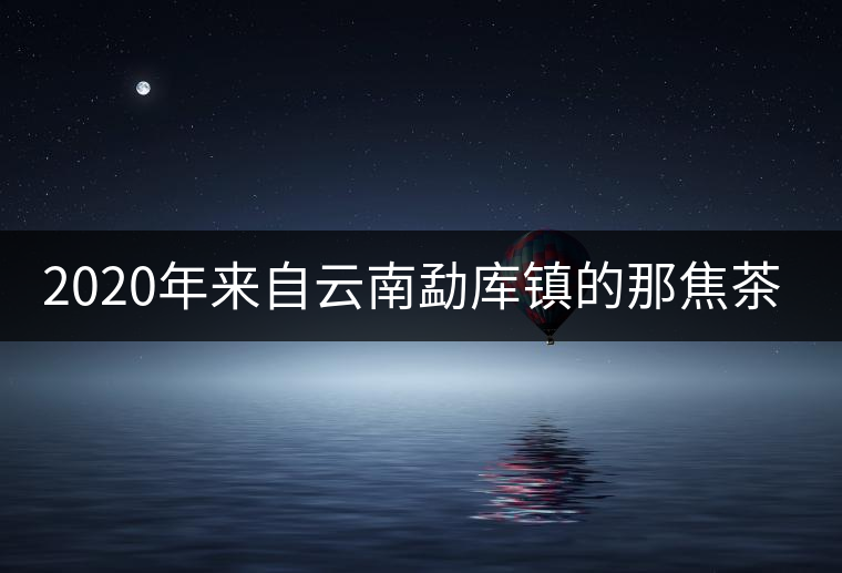 2020年來自云南勐庫鎮(zhèn)的那焦茶-易武中聘號(hào)