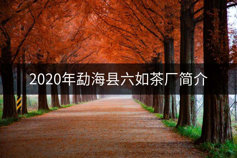 2020年勐?？h六如茶廠簡(jiǎn)介